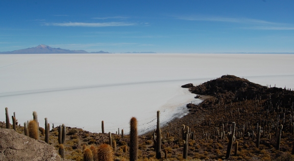 Isla del Pescado on the Salar de Uyuni, Bolivia Salar de Uyuni (Salt Flats), Bolivia