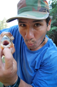 Our guide, Domingo, with a pirahna Pirahna fishing on a Pampas tour in Bolivia
