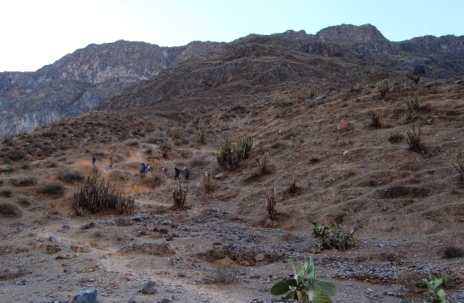 A long way up on the final day The hike out of Colca Canyon